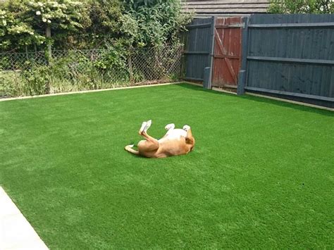 As pet lovers we understand the importance of bringing pet safe products. Dog Friendly Artificial Grass With Pay Monthly Options