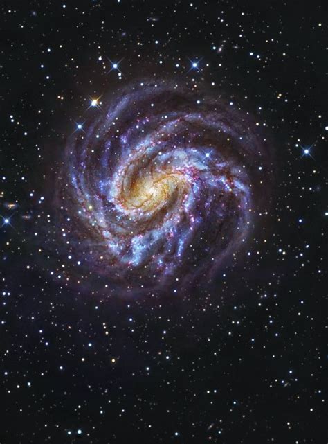 M83 The Southern Pinwheel Hubble Space Telescope Astronomy Pictures