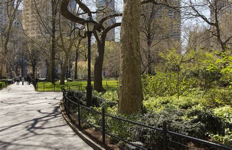 Manhattan Real Estate And The Magical Urban Forest