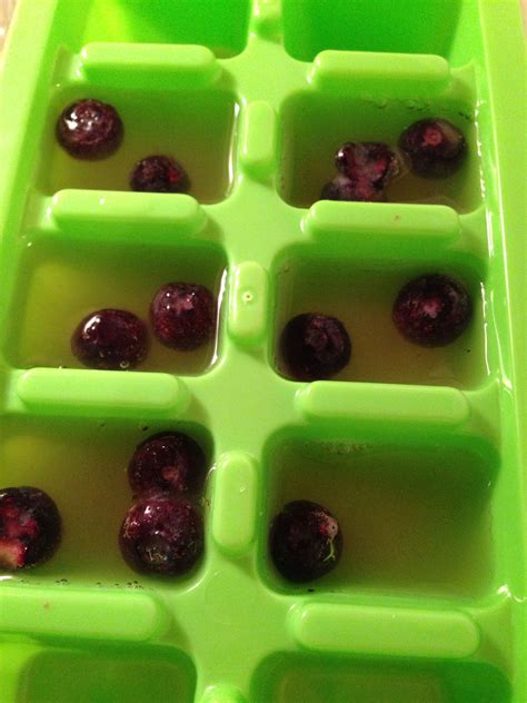 Sport dog food cub is perfect for active puppies and sporting puppy breeds. Cool treat for dogs this summer. Ice cube tray, chicken ...