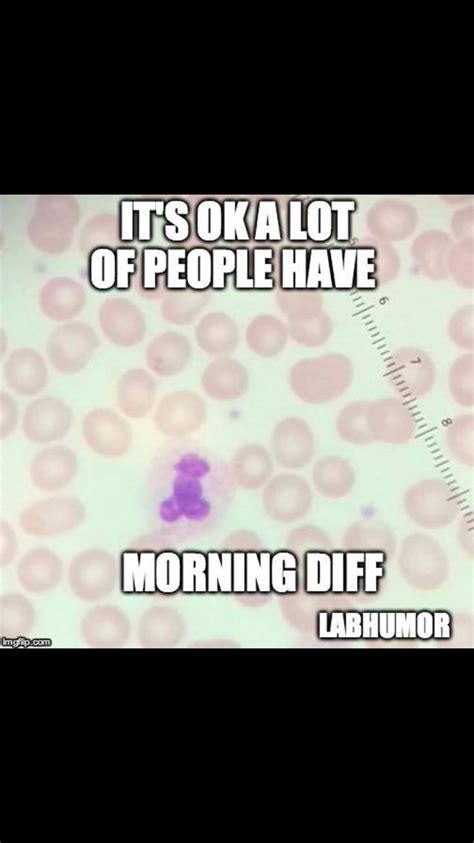308 Best Images About Labsciencework On Pinterest