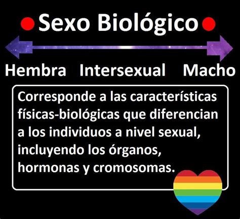 Lo no binario se define como algo que no consiste, indica o involucra a dos. ¿Qué significa ser no-binario?