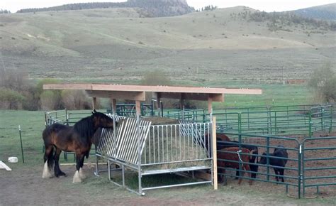 H 12 Horse Hay Feeder Save Money And Time Klene Pipe