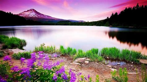 You can find the best and most beautiful hd nature wallpapers of pexels on this page. Natural Beauty Nature HD Wallpaper No. 0093 - Wallpaper ...