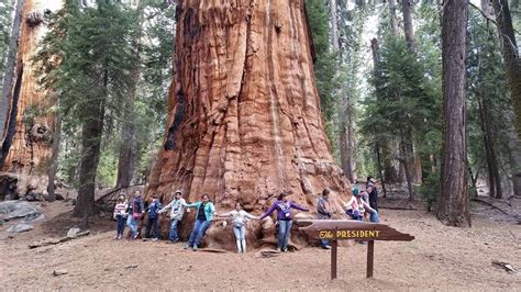 Kings Canyon And Sequoia National Parks California