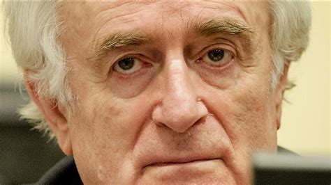 Karadzic convicted of genocide, sentenced to 40 years ...