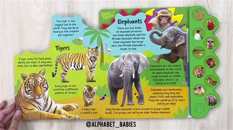 I Can Roar Wild Animals Tabbed Sound Board Book With 10 Animal Sounds
