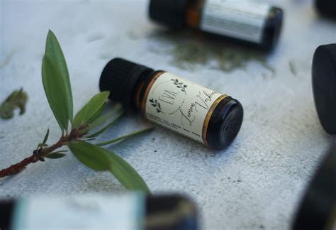 Lemon Verbena Essential Oil 10ml Eva Natuurlik