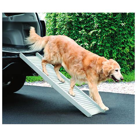 Folding Dog Ramp - 608630, Pet Accessories at Sportsman's ...