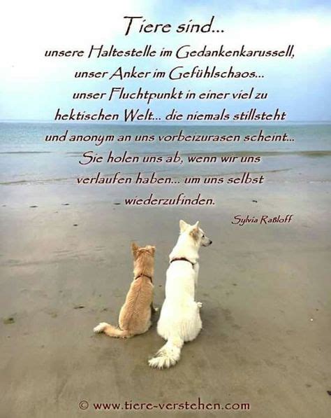 Jetzt stöbern und das passende zitat finden! Tiere schiessen keine Raketen, sondern leben als und mit ...