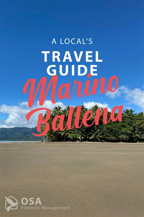 Guide To Marino Ballena National Park In 2022 Costa Rica Tour Costa