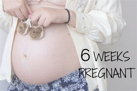 At 16 weeks pregnant, you may have that 'pregnancy glow,' and your baby is developing taste buds. 6 Weeks Pregnant - Week 6 Pregnancy Tips - Baby At 6 Weeks