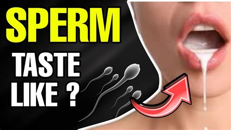 Taste Of Sperm Explained What Does Sperm Taste Like Explanation Youtube