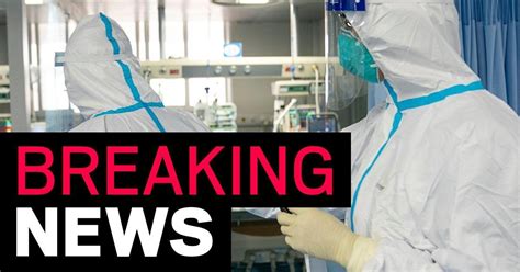 Here we allow the following types of posts: BREAKING NEWS! New Coronavirus Can Incubate For As Long As ...