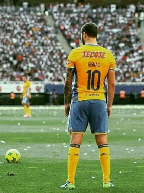 San nicolás de los garza, n. GIGNAC | Club de futbol tigres, Tigres uanl, Tigres futbol