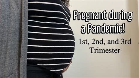 Pregnancy Update 1st 2nd And 3rd Trimester Youtube