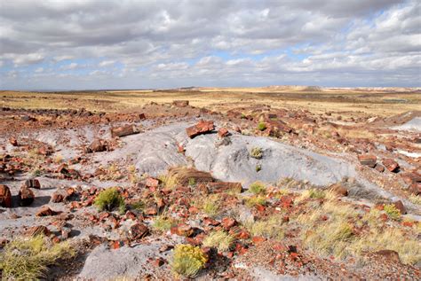 Take a day trip to the grand canyon (2.5 hours), canyon de chelly (1.5+ hours), monument valley (2.5+ hours), or fort apache (1.5 hours). South Dakota's Petrified Forest Preserves the Past | Good ...