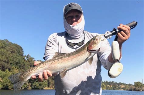 The incredible salmon fishing on the feather river has continued all month and it looks to carry on right into october. Feather River Steelhead Fishing Report - October 2018