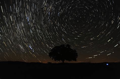 Star Trace At Lone Tree Photograph By Robert Titus Fine Art America