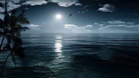 Perfect Night Moon Ocean Moonlight Nature Island Sea Hd