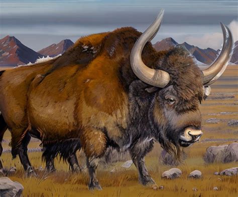 Steppe Bison † Megafauna Parks W Palearctic · Inaturalist