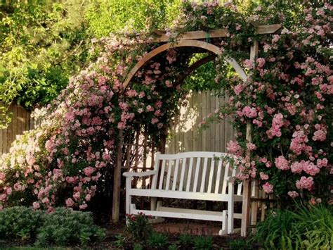 My Rose Arbor Garden Photo Gallery Forum Gardenweb Garden Archway