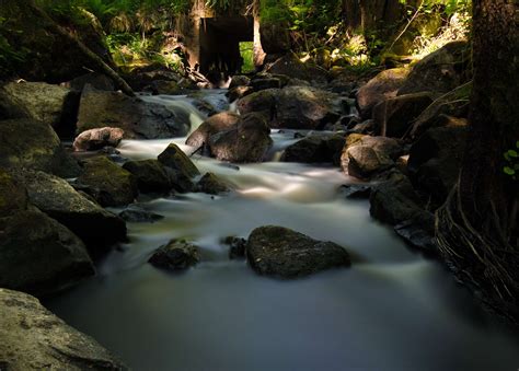 3840x2560 Creek Forest Stream Water 4k Wallpaper Coolwallpapersme