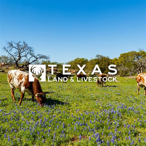 West Texas Ranches For Sale Texas Land And Livestock Texas And New