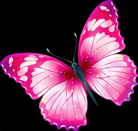 Beautiful Butterfly Png Image Butterfly Clip Art Butterfly Art