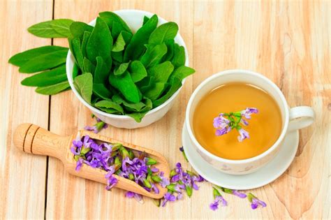 Beneficios de la Salvia que Quizás Desconocías Mis Remedios