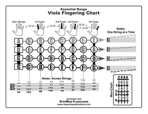 Pin On Viola Technique