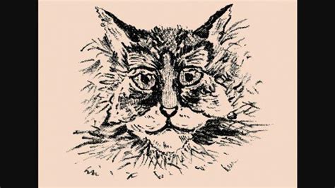 Tes Kepribadian Gambar Kupu Kupu Atau Kucing Jawabanmu Ungkap