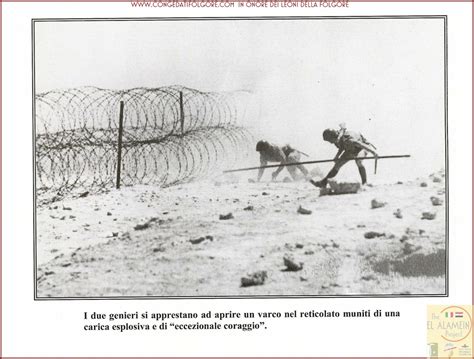 Redazione send an email 7 novembre 2016. PAG 239(2) | Congedati Folgore