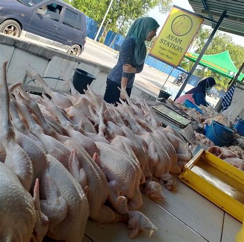 Pejabat tanah daerah kuala pilah. Demo cantuman sisi pokok... - Pejabat Pertanian Kuala Pilah