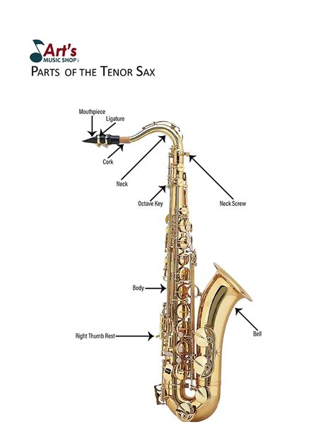 Tenor Saxophone Care And Maintenance Tips From Art S Music Shop
