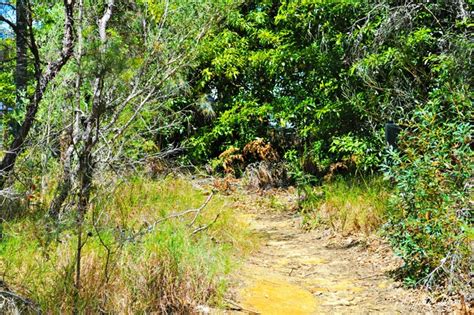 Chinamans Beach Jervis Bay New South Wales