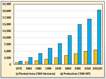 P malaysia data remains active status in ceic and is reported by malaysian palm oil board. BEST Palm Oil Production Machine Manufactuer and Supplier