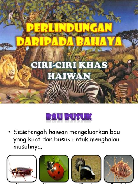 Cara Haiwan Melindungi Diri Daripada Musuh Tahun 5