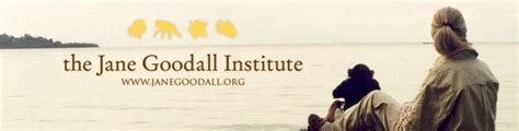 In 1991, jane and 16 tanzanian students founded jane goodall's roots & shoots, jgi's global environmental and humanitarian education programme for young people. Jane Goodall Institute on Vimeo