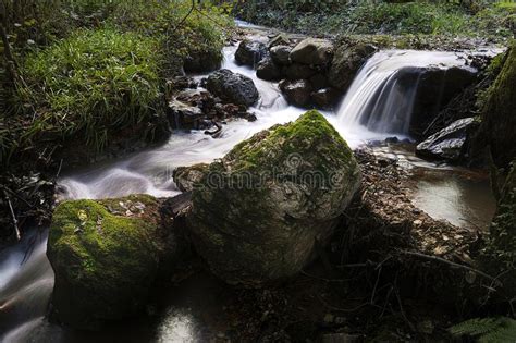 Forest Rivulet Autumn Long Exposure Photos Free And Royalty Free Stock