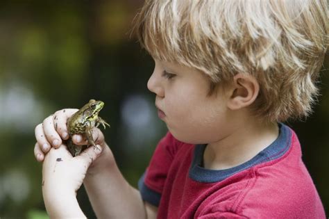 Heres How To Feed Your Frog Pet Animal Encyclopedia