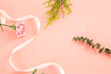 Mothers Day Flowers Pink Carnation Photography Picture Background