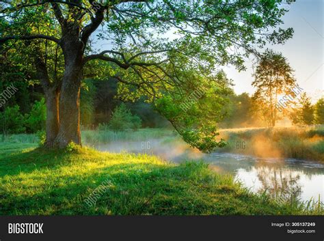 Bright Summer Morning Image And Photo Free Trial Bigstock