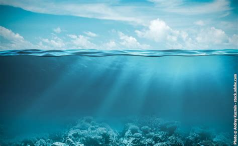 If the driller has drilled several wells in the nearby area, he may be able to the well must therefore be drilled deeper than the lowest expected elevation of the water table. Fear of Deep Water | Solutions Corner Archive | Hypnotic World