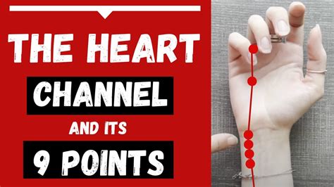 The Heart Channel Meridian And Its 9 Heart Acupuncture Points Functions