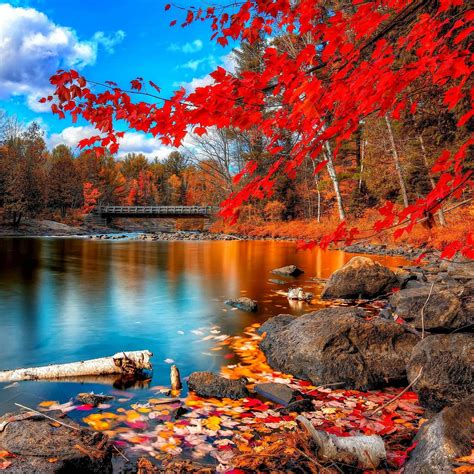 Nature Autumn Red Leaf Calm Lake Landscape Ipad Air Wallpapers Free