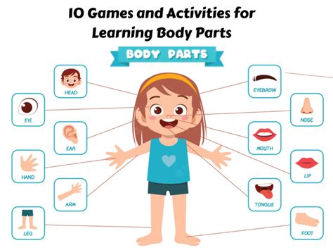 10 Games And Activities For Learning Body Parts Teaching Expertise