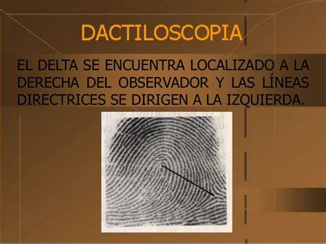 Dactiloscopia