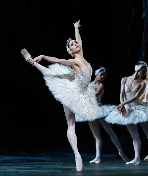 In Royal Ballets New ‘swan Lake Its The Heros Tragedy The New