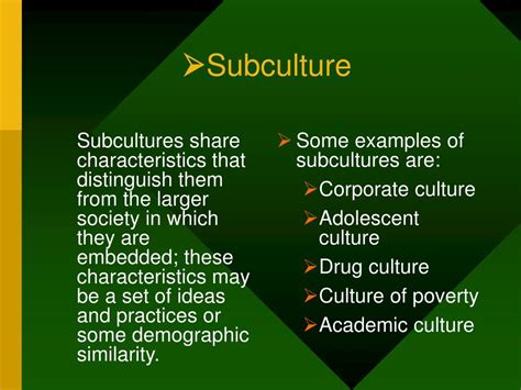 Ppt Culture And The Culture Learning Process Powerpoint Presentation